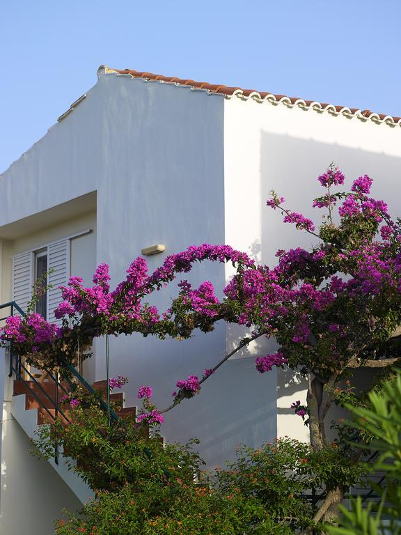 Mousses Apartments & Studios Kissamos Room photo